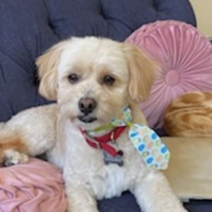 Meet your Posher, Amalia